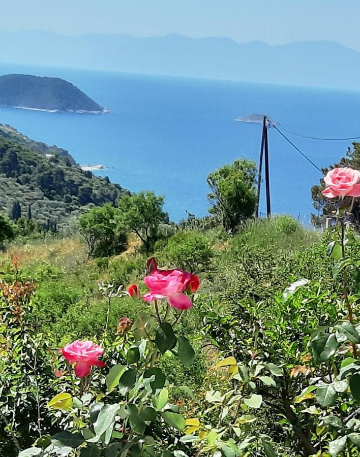 Villa Lemonia Glossa Exteriér fotografie